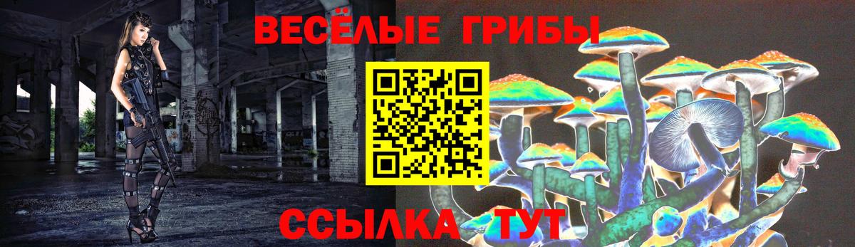 Галлюциногенные грибы прущие грибы  Галлюциногенные грибы Psilocybine cubensis  Шадринск  Вход с VPN 